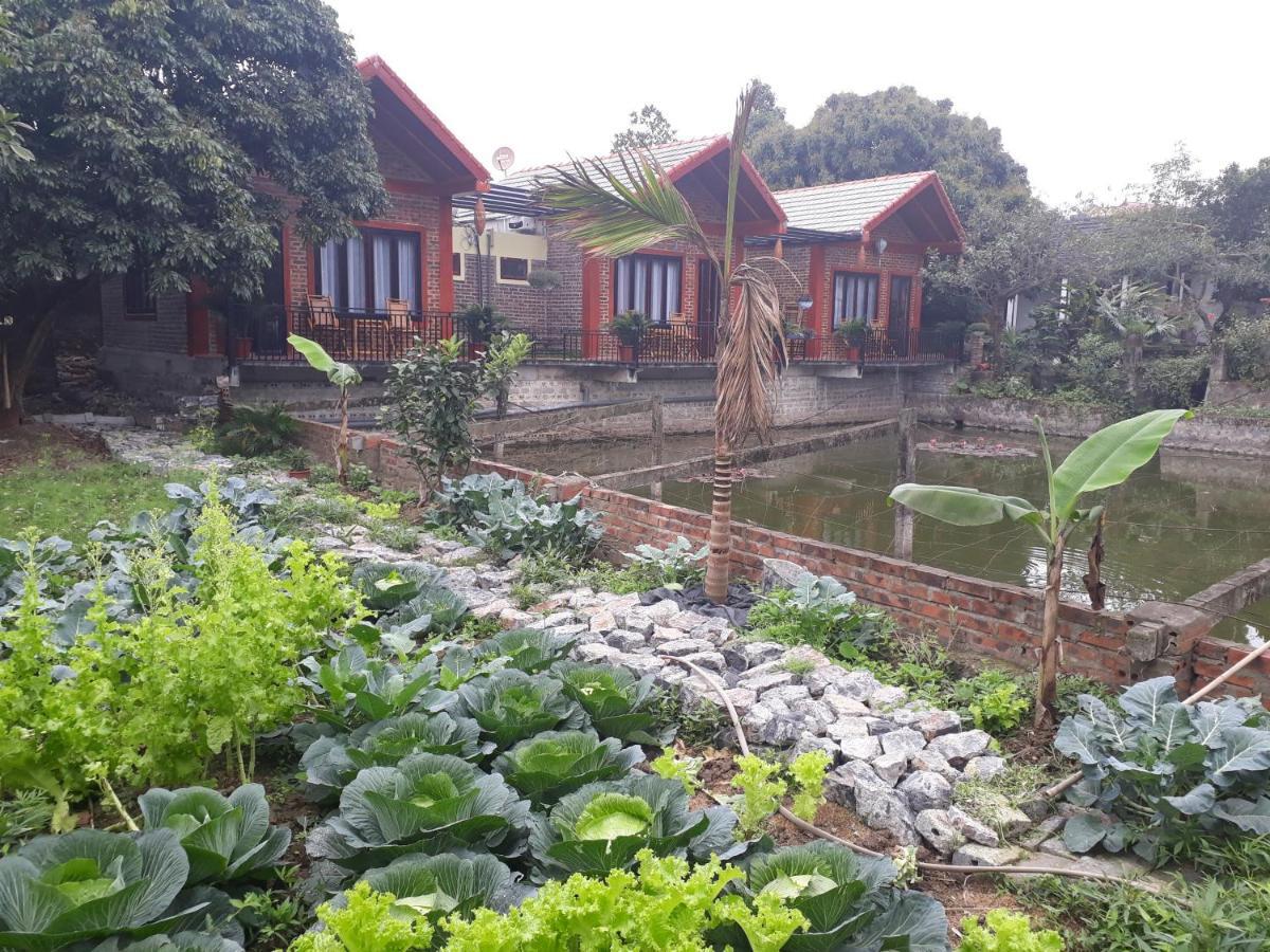 Chez Hiep Tam Coc Homestay Ніньбінь Екстер'єр фото